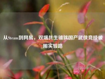 从Steam到网易，双端共生铺就国产武侠竞技破圈实验路