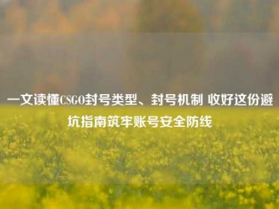 一文读懂CSGO封号类型、封号机制 收好这份避坑指南筑牢账号安全防线