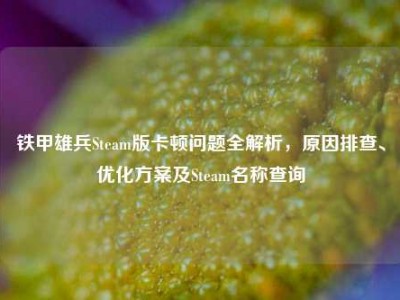 铁甲雄兵Steam版卡顿问题全解析，原因排查、优化方案及Steam名称查询