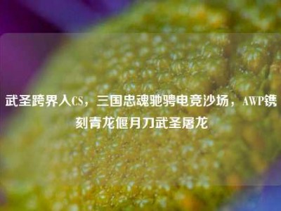 武圣跨界入CS，三国忠魂驰骋电竞沙场，AWP镌刻青龙偃月刀武圣屠龙