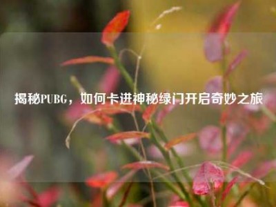 揭秘PUBG，如何卡进神秘绿门开启奇妙之旅
