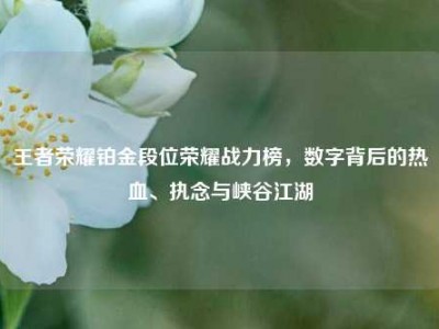 王者荣耀铂金段位荣耀战力榜，数字背后的热血、执念与峡谷江湖