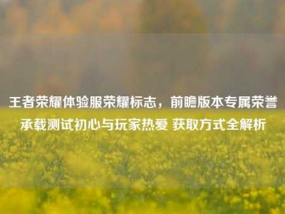 王者荣耀体验服荣耀标志，前瞻版本专属荣誉承载测试初心与玩家热爱 获取方式全解析