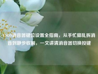 CSGO消音器键位设置全指南，从手忙脚乱拆消音到静步收割，一文讲清消音器切换按键