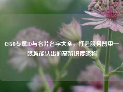 CSGO专属ID与名片名字大全，打造服务器里一眼就能认出的高辨识度昵称
