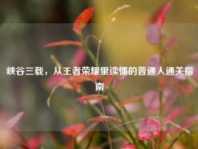峡谷三载，从王者荣耀里读懂的普通人通关指南