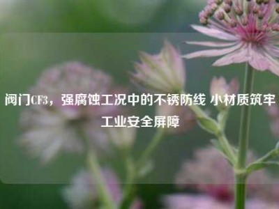 阀门CF3，强腐蚀工况中的不锈防线 小材质筑牢工业安全屏障