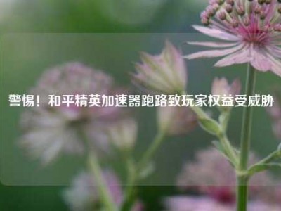 警惕！和平精英加速器跑路致玩家权益受威胁