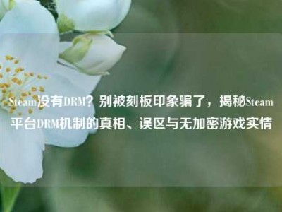 Steam没有DRM？别被刻板印象骗了，揭秘Steam平台DRM机制的真相、误区与无加密游戏实情
