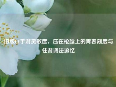 旧版CF手游灵敏度，压在枪膛上的青春刻度与往昔调法追忆
