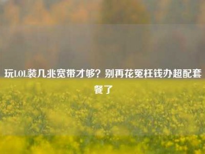 玩LOL装几兆宽带才够？别再花冤枉钱办超配套餐了