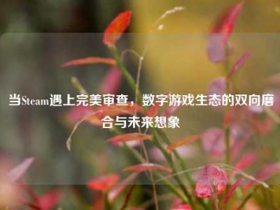 当Steam遇上完美审查，数字游戏生态的双向磨合与未来想象