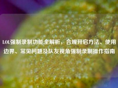 LOL强制录制功能全解析，合规开启方法、使用边界、常见问题及队友视角强制录制操作指南
