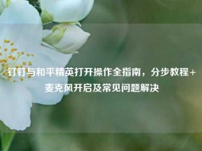 钉钉与和平精英打开操作全指南，分步教程+麦克风开启及常见问题解决