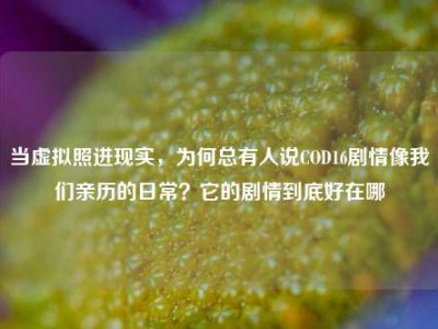 当虚拟照进现实，为何总有人说COD16剧情像我们亲历的日常？它的剧情到底好在哪