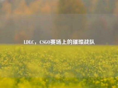 LDLC，CSGO赛场上的璀璨战队