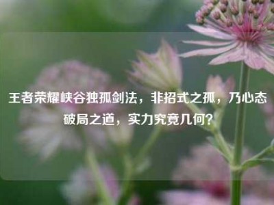 王者荣耀峡谷独孤剑法，非招式之孤，乃心态破局之道，实力究竟几何？
