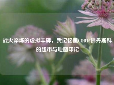 战火淬炼的虚拟丰碑，我记忆里COD16佛丹斯科的超市与地图印记