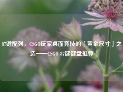 87键配列，CSGO玩家桌面竞技的「黄金尺寸」之选——CSGO 87键键盘推荐