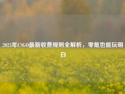 2025年CSGO最新收费规则全解析，零氪也能玩明白
