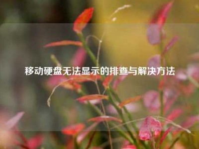 移动硬盘无法显示的排查与解决方法