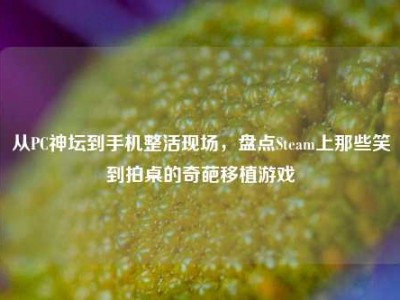 从PC神坛到手机整活现场，盘点Steam上那些笑到拍桌的奇葩移植游戏