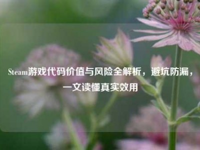 Steam游戏代码价值与风险全解析，避坑防漏，一文读懂真实效用