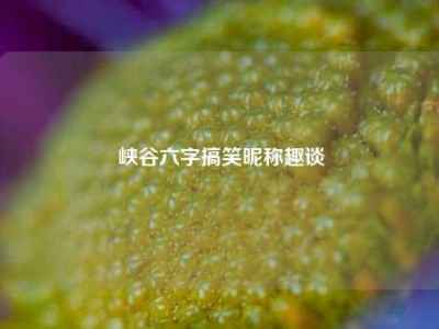 峡谷六字搞笑昵称趣谈