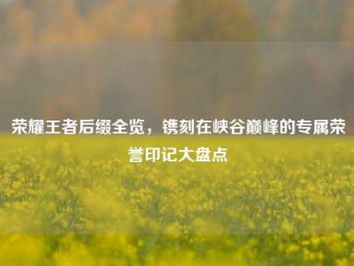 荣耀王者后缀全览，镌刻在峡谷巅峰的专属荣誉印记大盘点