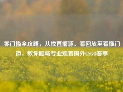 零门槛全攻略，从找直播源、看回放至看懂门道，教你顺畅专业观看国外CSGO赛事
