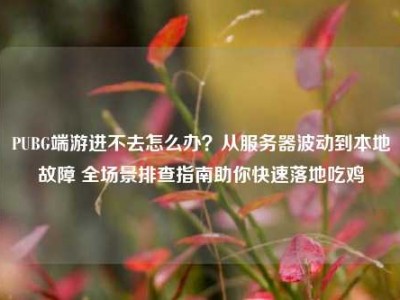 PUBG端游进不去怎么办？从服务器波动到本地故障 全场景排查指南助你快速落地吃鸡