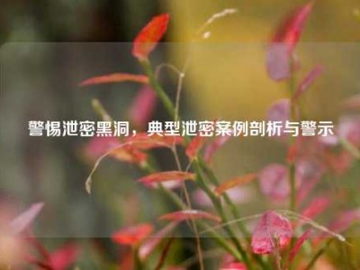 警惕泄密黑洞，典型泄密案例剖析与警示