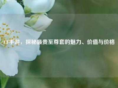 CF手游，探秘最贵至尊套的魅力、价值与价格