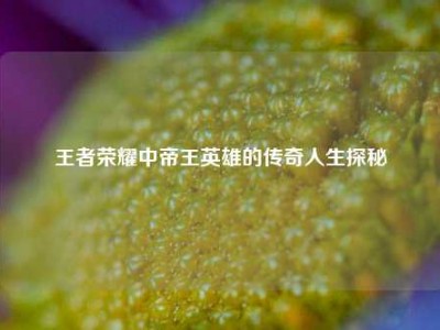 王者荣耀中帝王英雄的传奇人生探秘