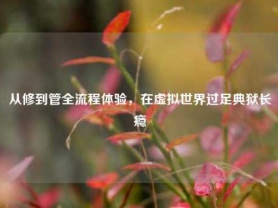 从修到管全流程体验，在虚拟世界过足典狱长瘾