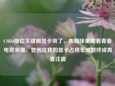 CSGO排位关键局显卡烧了，焦糊味里藏着青春电竞余温，曾困扰我的显卡占用率难题终成青春注脚