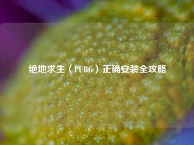 绝地求生（PUBG）正确安装全攻略