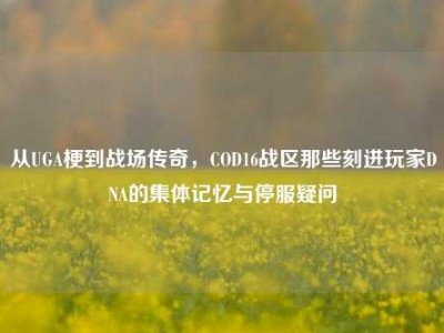从UGA梗到战场传奇，COD16战区那些刻进玩家DNA的集体记忆与停服疑问