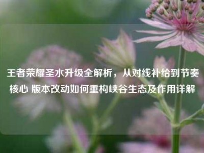 王者荣耀圣水升级全解析，从对线补给到节奏核心 版本改动如何重构峡谷生态及作用详解