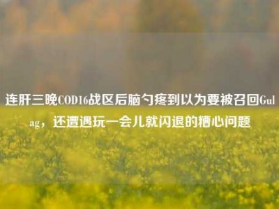 连肝三晚COD16战区后脑勺疼到以为要被召回Gulag，还遭遇玩一会儿就闪退的糟心问题