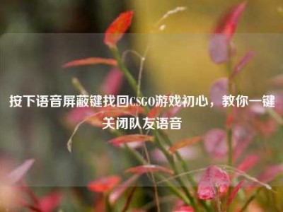 按下语音屏蔽键找回CSGO游戏初心，教你一键关闭队友语音