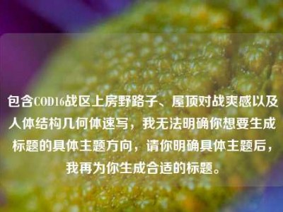 包含COD16战区上房野路子、屋顶对战爽感以及人体结构几何体速写，我无法明确你想要生成标题的具体主题方向，请你明确具体主题后，我再为你生成合适的标题。