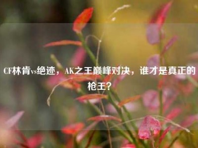 CF林肯vs绝迹，AK之王巅峰对决，谁才是真正的枪王？