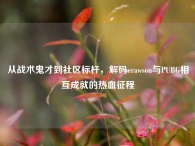 从战术鬼才到社区标杆，解码erawson与PUBG相互成就的热血征程