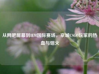 从网吧屏幕到IEM国际赛场，京城CSGO玩家的热血与烟火