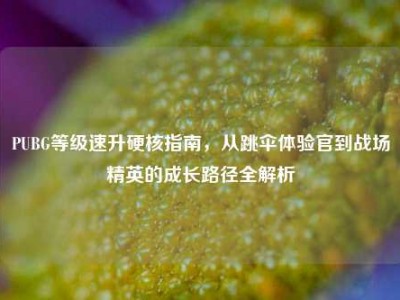 PUBG等级速升硬核指南，从跳伞体验官到战场精英的成长路径全解析