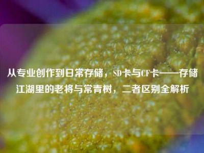 从专业创作到日常存储，SD卡与CF卡——存储江湖里的老将与常青树，二者区别全解析