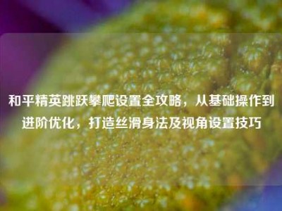 和平精英跳跃攀爬设置全攻略，从基础操作到进阶优化，打造丝滑身法及视角设置技巧