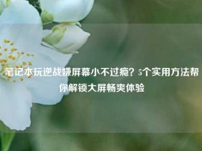 笔记本玩逆战嫌屏幕小不过瘾？5个实用方法帮你解锁大屏畅爽体验