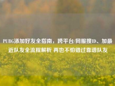 PUBG添加好友全指南，跨平台/同服搜ID、加最近队友全流程解析 再也不怕错过靠谱队友